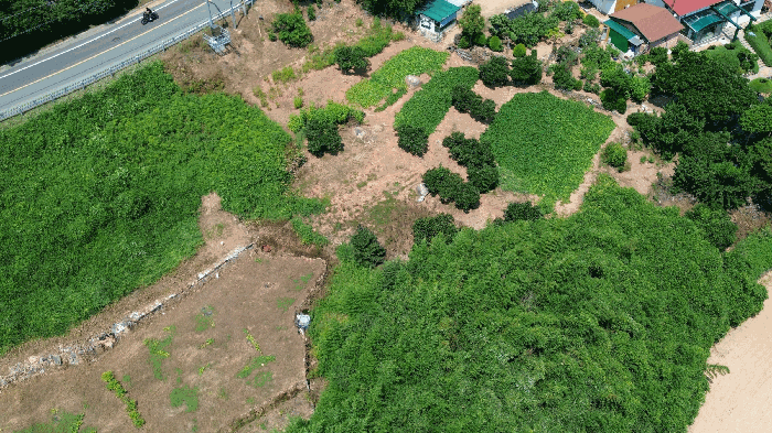 사진 2
