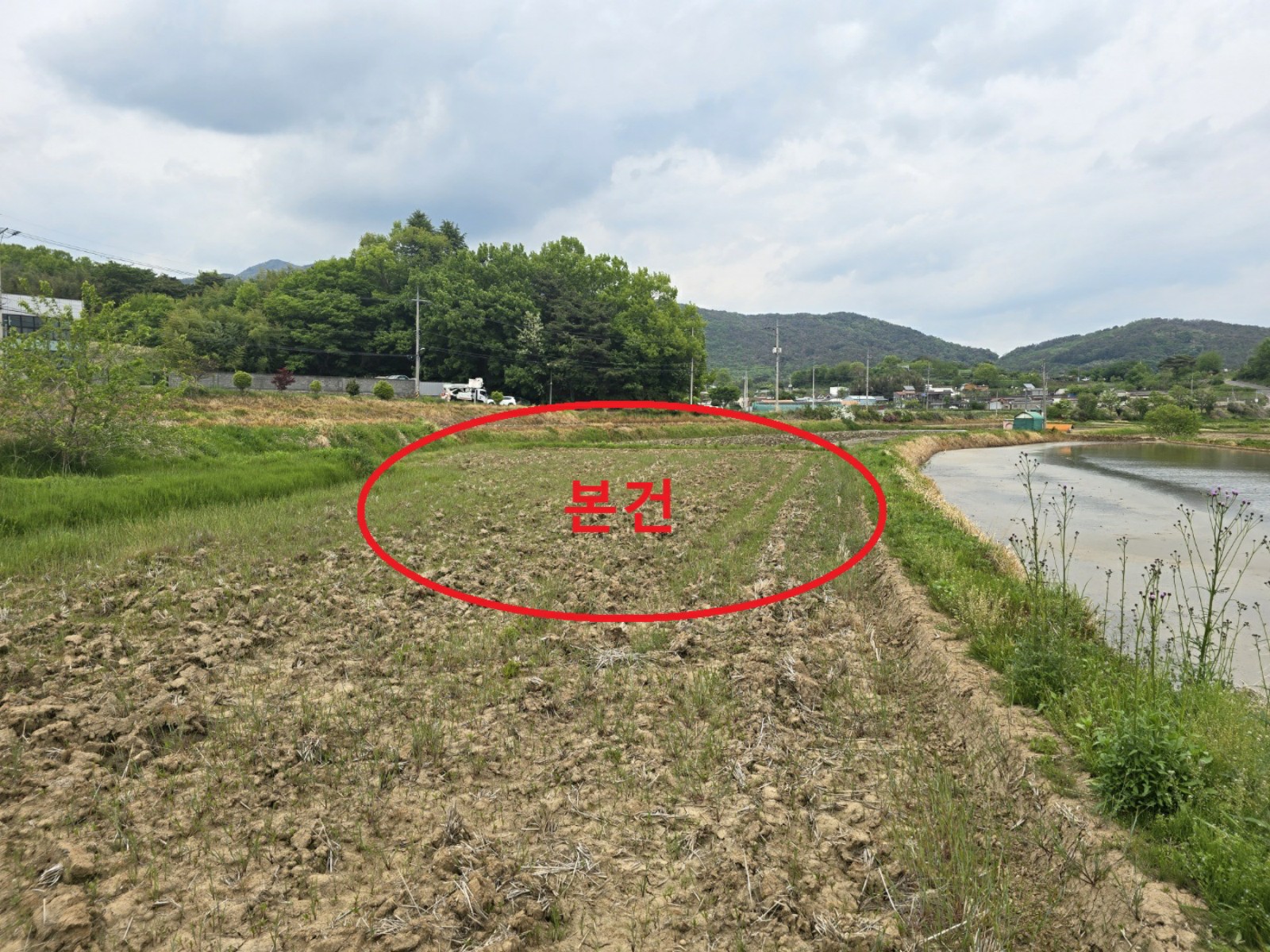사진 1