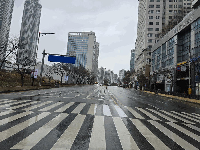 사진 7