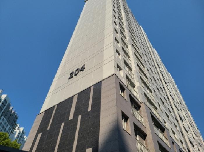 사진 5