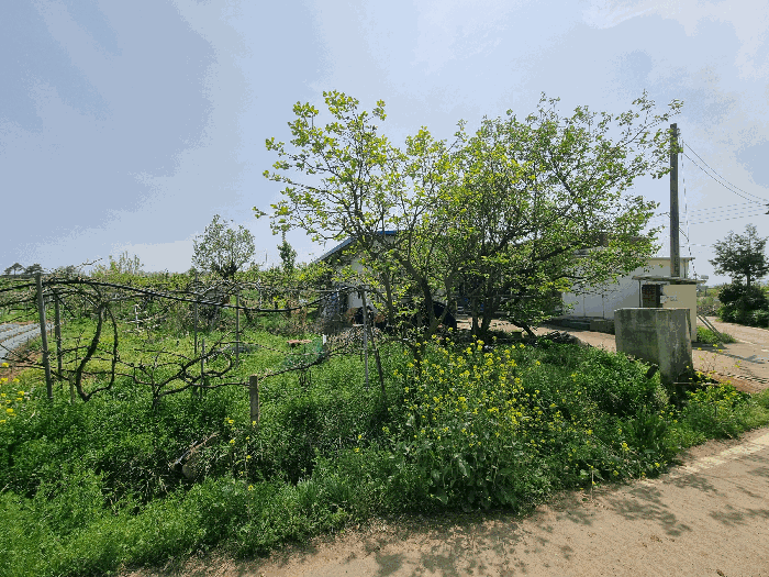 사진 13