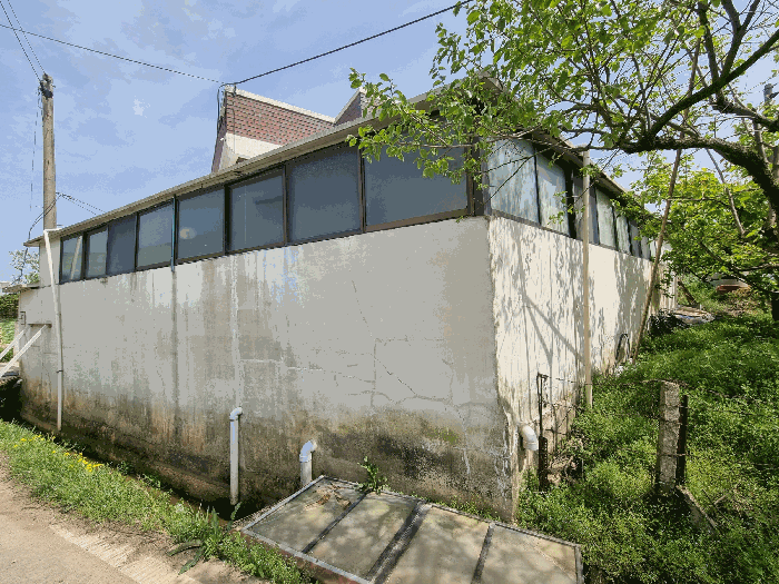 사진 15