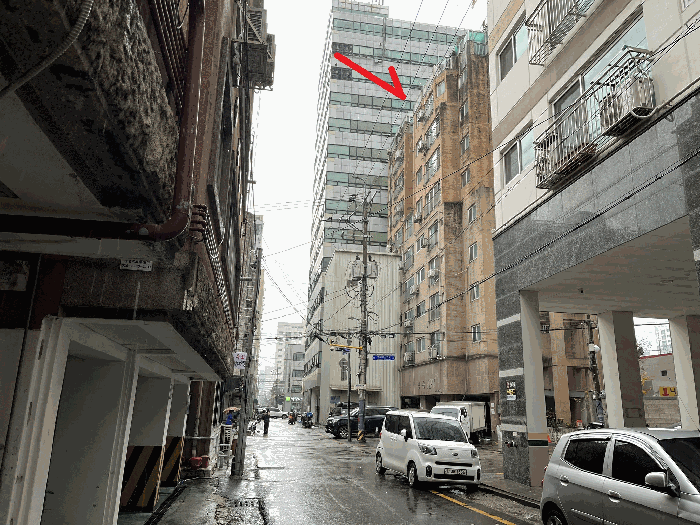 사진 11