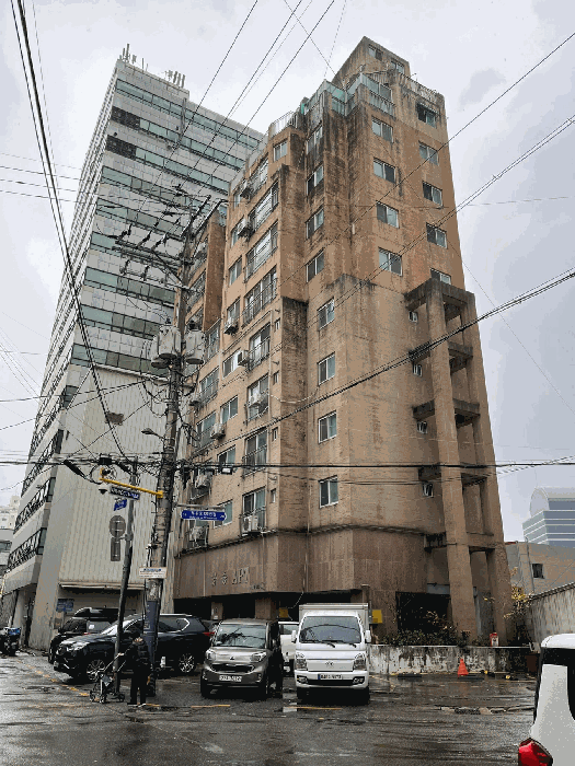 사진 9
