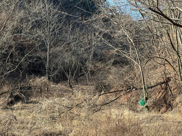 사진 5