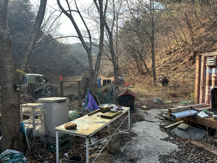 사진 6