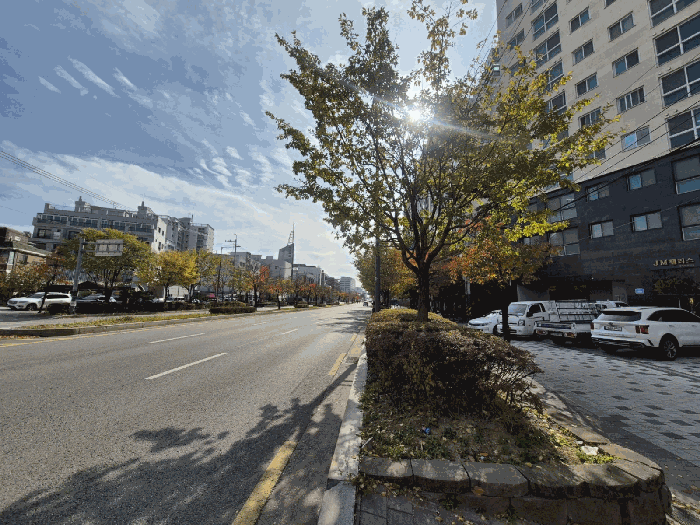 사진 10