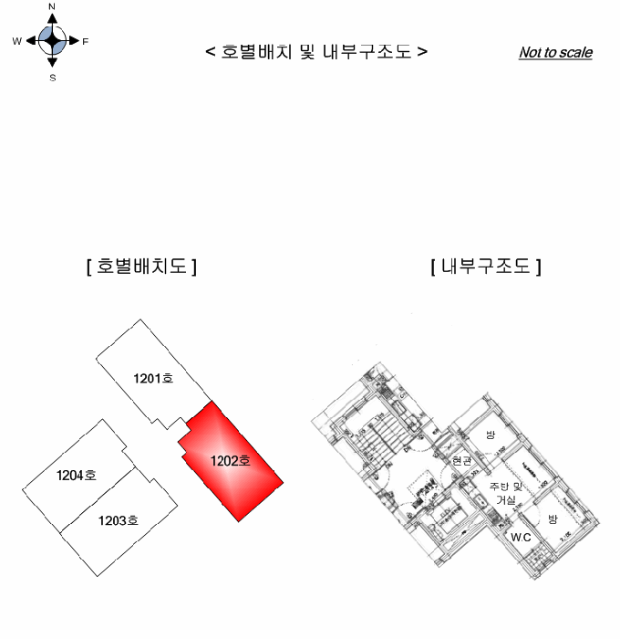 사진 11