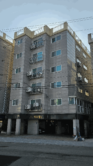 사진 5