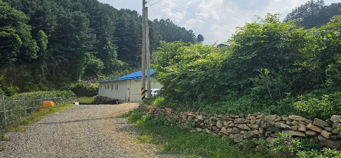 사진 5