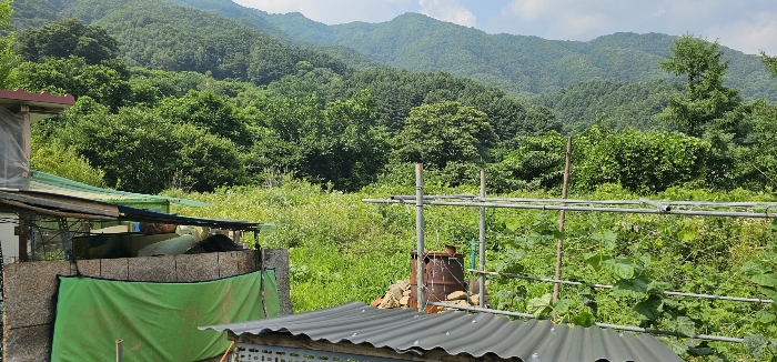 사진 6