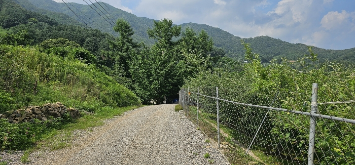 사진 7