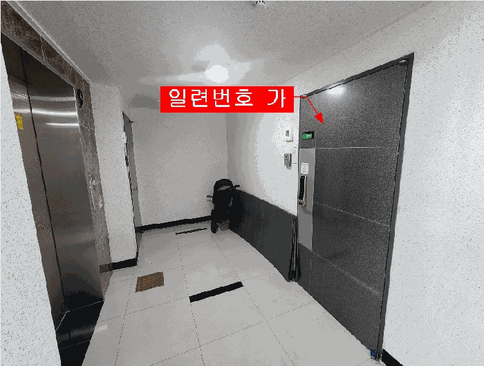사진 7