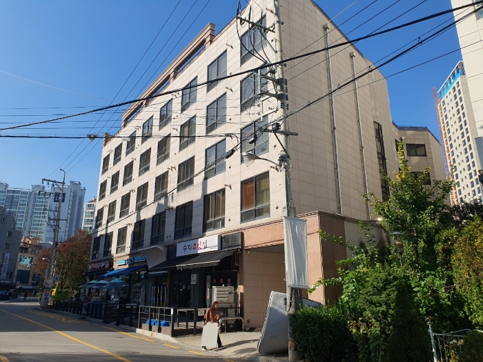 사진 11