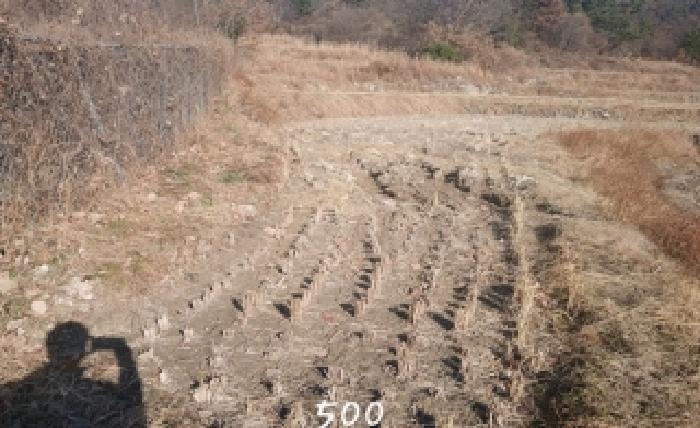 사진 1