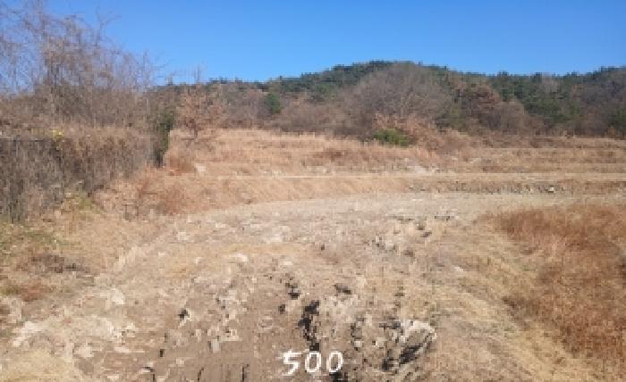 사진 2