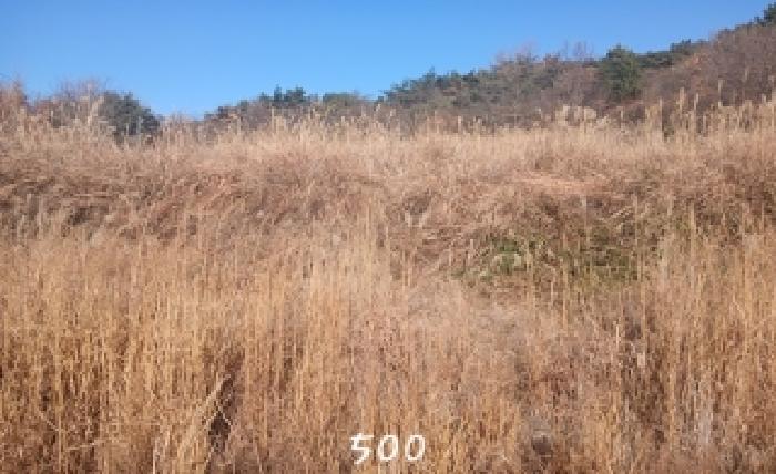 사진 3