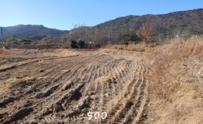 사진 6