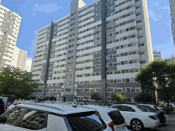 사진 3