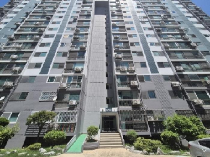 사진 5