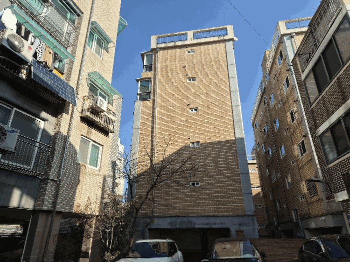 사진 10