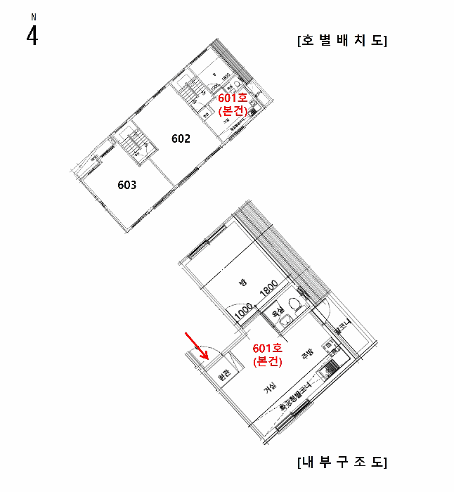 사진 12