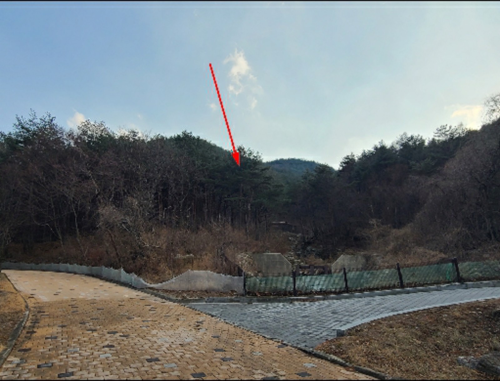 사진 1