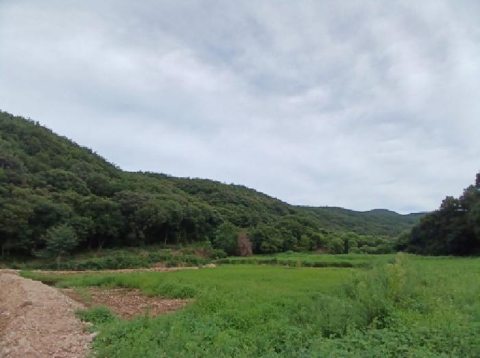 사진 1