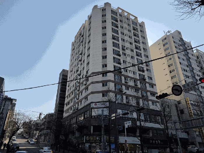 사진 5