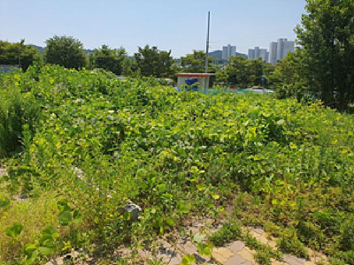 사진 1