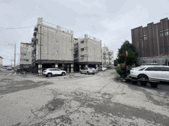 사진 11