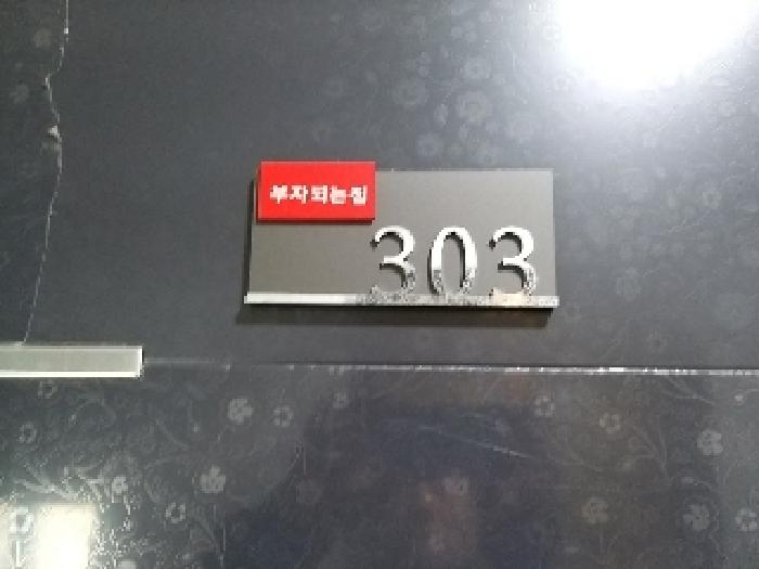 사진 11