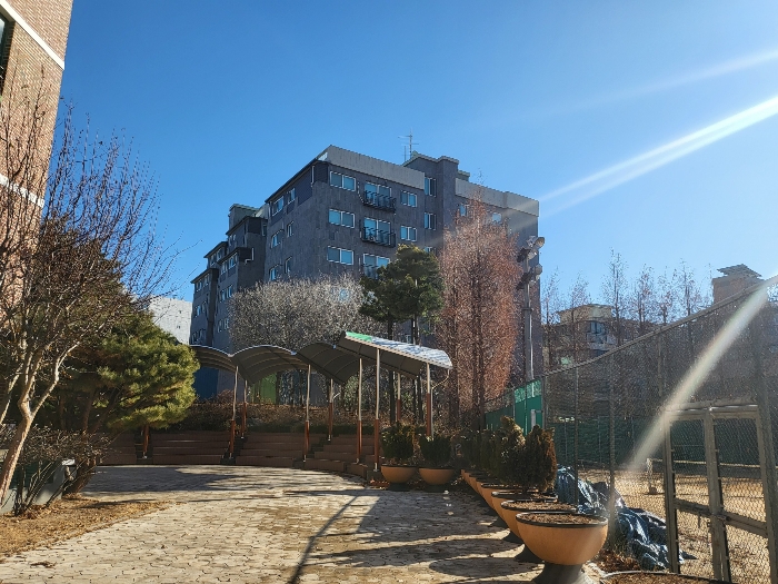 사진 8