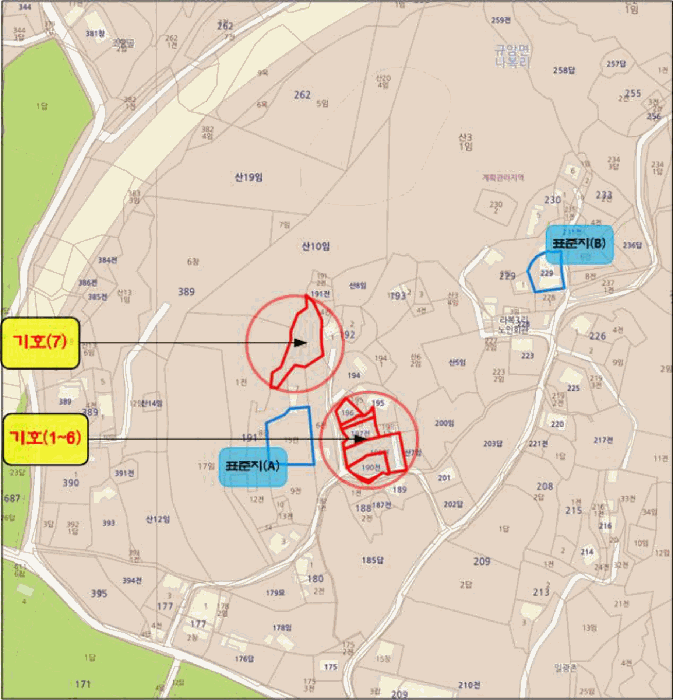 사진 3