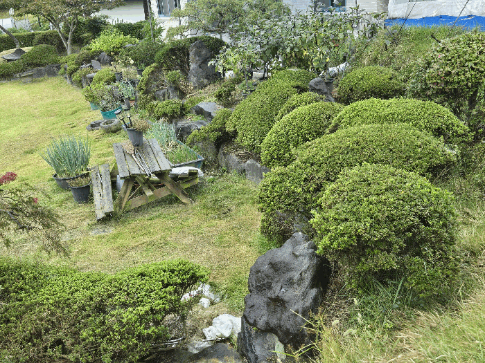사진 10