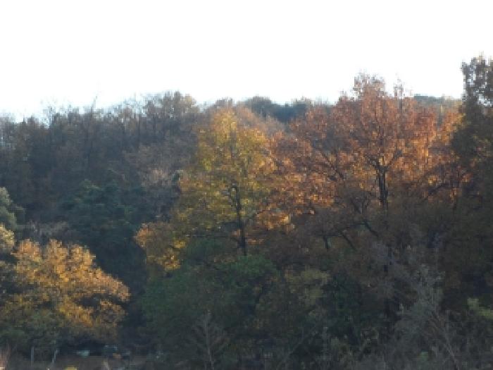 사진 6
