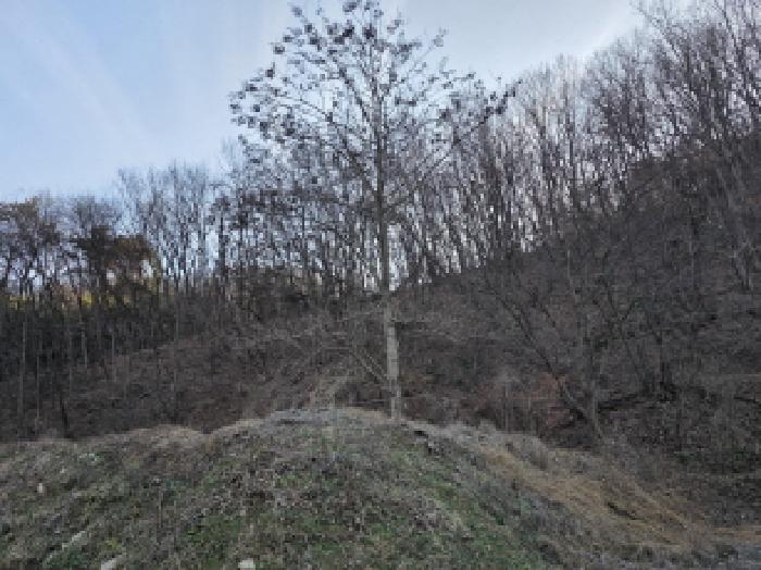 사진 10