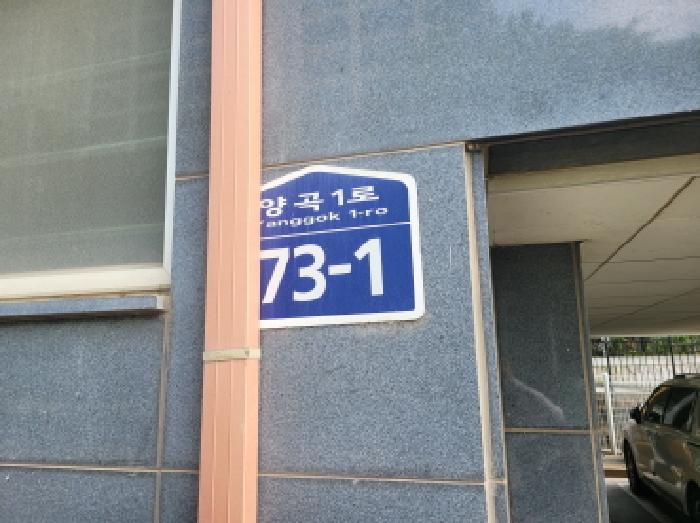 사진 10