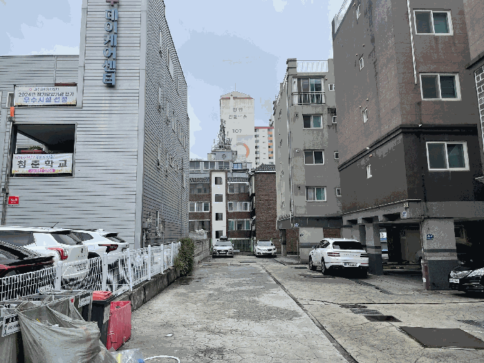 사진 11