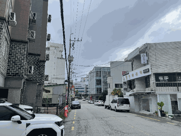 사진 12
