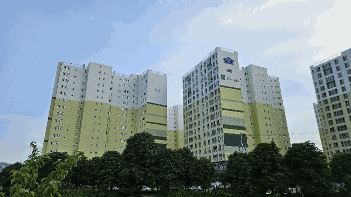 사진 25