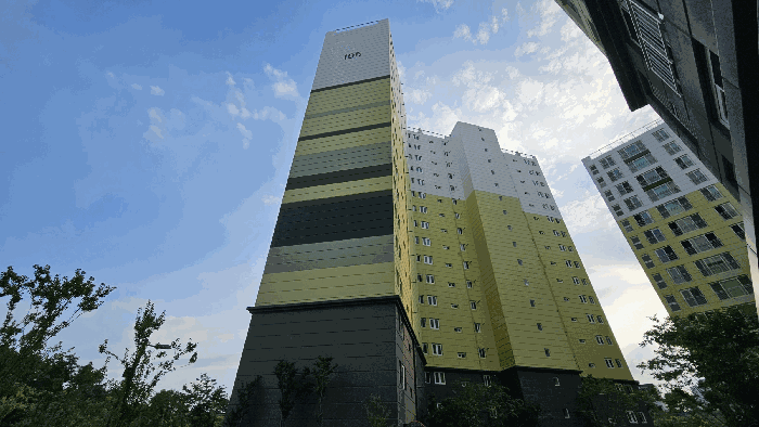 사진 46