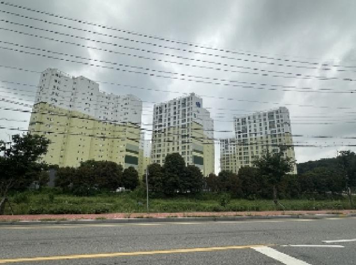 사진 55