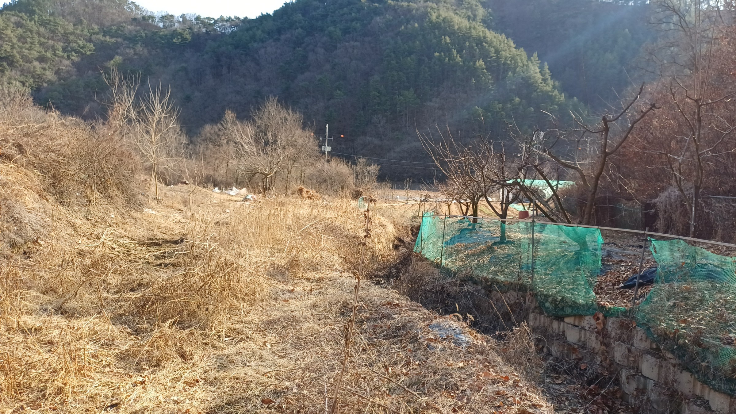 사진 1