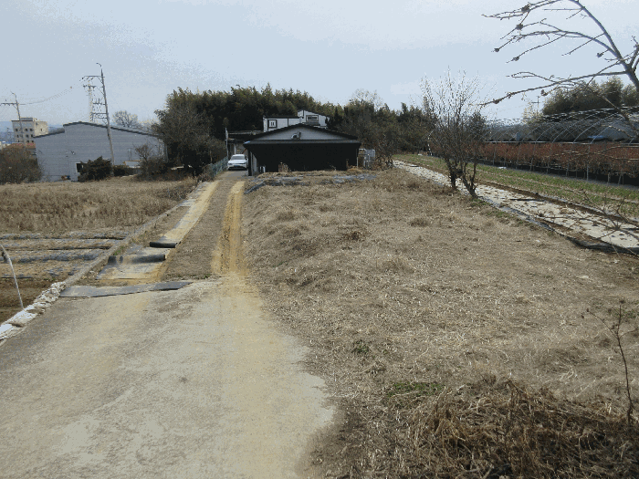 사진 2