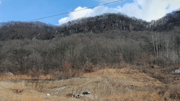 사진 5