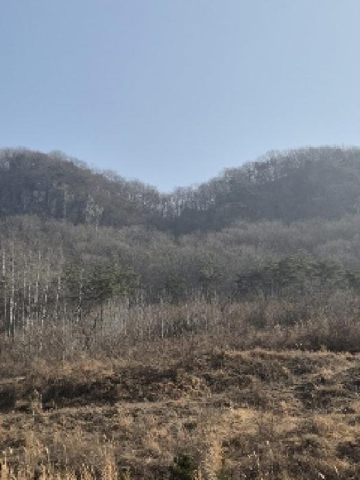 사진 8
