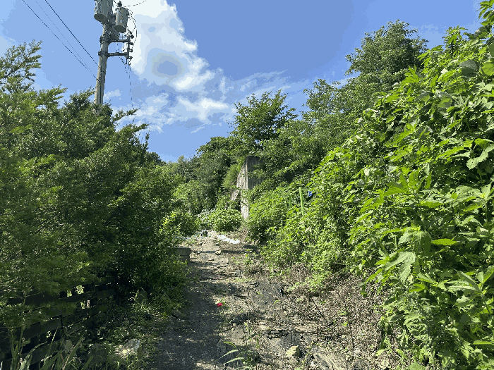 사진 6