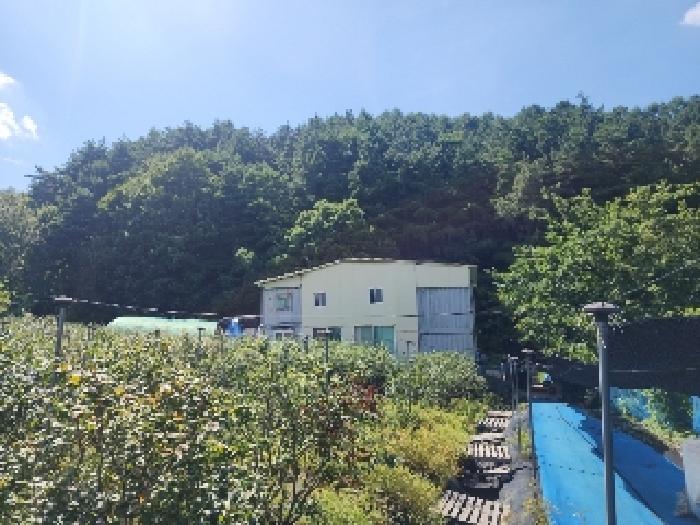 사진 15