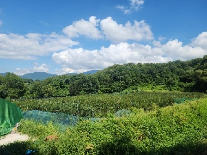 사진 20